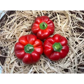 Pritamin paprika 