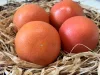 Grapefruit