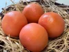 Grapefruit