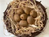 Kiwi lédig 