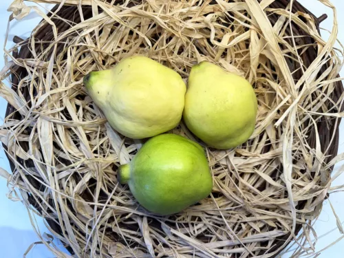 Birsalma 
