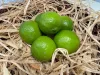 Lime 