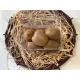 Kiwi dobozos 1kg