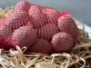 Burgonya hálós 1,5 kg 