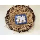 Champion gomba 250g