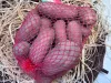 Kifli burgonya 1,5 kg 