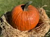 Halloween tök 