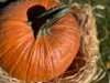 Halloween tök 