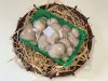 Laska gomba 500 g