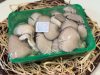 Laska gomba 500 g