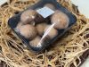 Barna Champion gomba 500 g