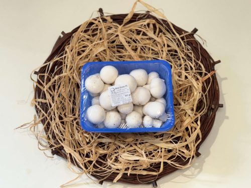 Champion gomba 500 g