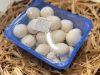 Champion gomba 500 g