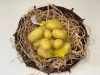 Sárga burgonya hálós 1,5 kg 