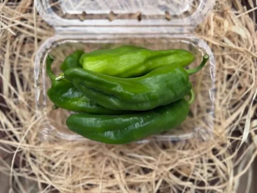 Padron paprika 200g 