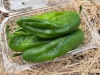 Padron paprika 200g 