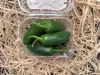 Jalapeno paprika 200g