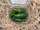 Jalapeno paprika 200g