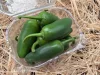 Jalapeno paprika 200g